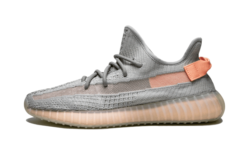 Adidas Yeezy Boost 350 V2 True Form - EG7492