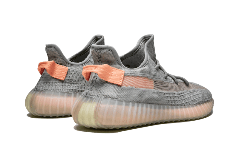 Adidas Yeezy Boost 350 V2 True Form - EG7492