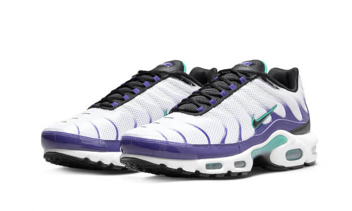 Nike Air Max Plus White Grape Ice - DM0032-100