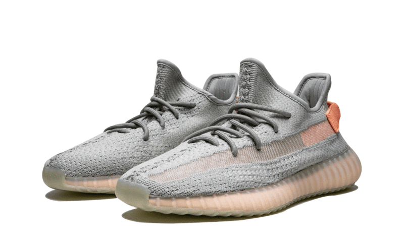 Adidas Yeezy Boost 350 V2 True Form - EG7492