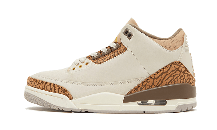 Air Jordan 3 Palomino - CT8532-102