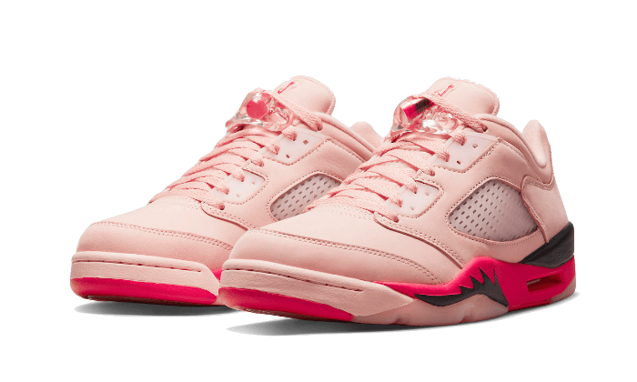 Air Jordan 5 Low Arctic Pink - DA8016-806