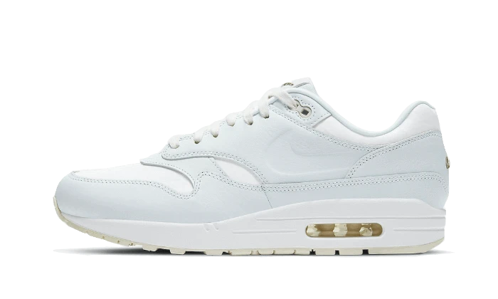 Nike Air Max 1 Asparagus - DH5493-100