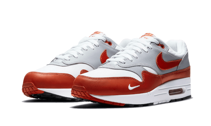 Nike Air Max 1 Martian Sunrise - DH4059-102