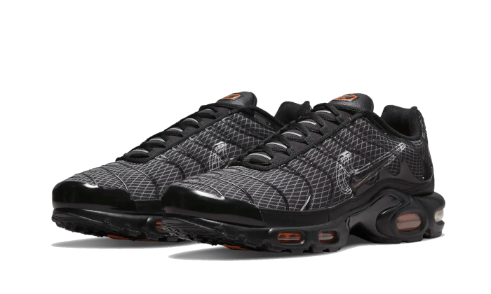 Nike Air Max Plus 3D Swoosh Black - DR0138-001