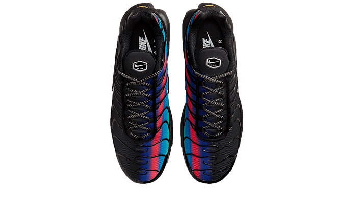 Nike Air Max Plus Black Blue Red - DZ4509-001