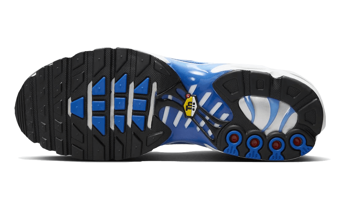 Nike Air Max Plus Light Photography Old Royal - DZ3531-400