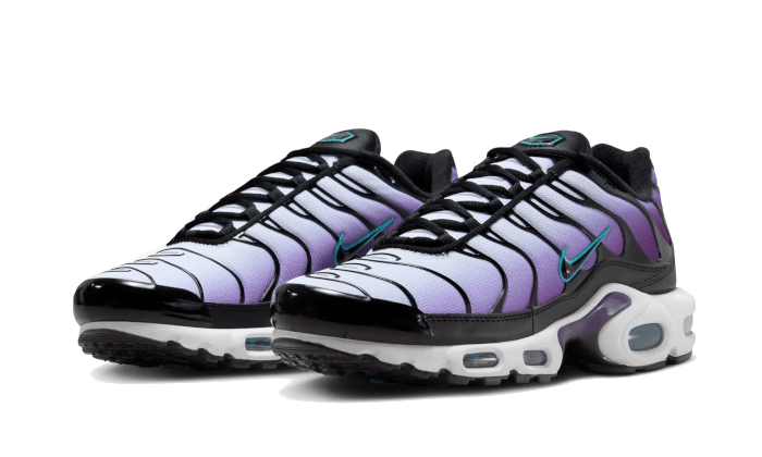 Nike Air Max Plus Reverse Grape - FQ2415-500