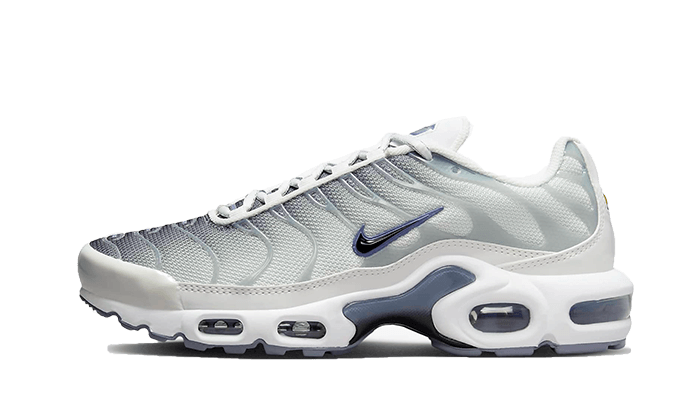 Nike Air Max Plus Sail Grey - FQ2892 100