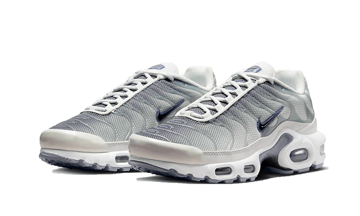 Nike Air Max Plus Sail Grey - FQ2892 100