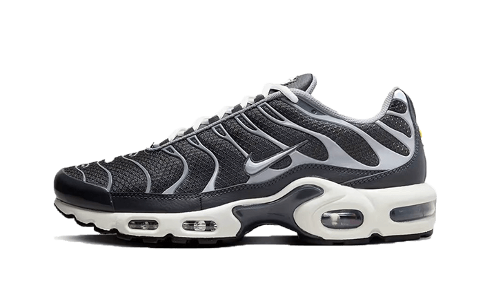 Nike Air Max Plus SE Greyscale Cool Grey - DZ2655-001