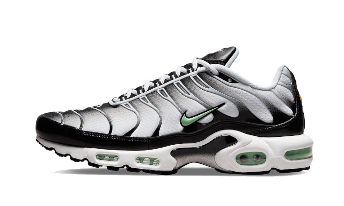 Nike Air Max Plus Seafoam Grey Black - DH4776-100