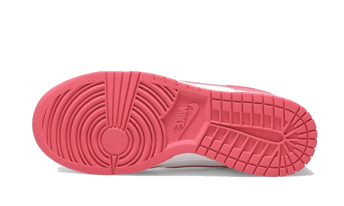 Nike Dunk Low Archeo Pink - DD1503-111