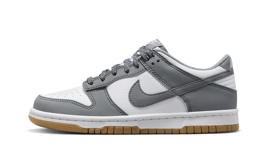 Nike Dunk Low Reflective Grey - FV0374-100