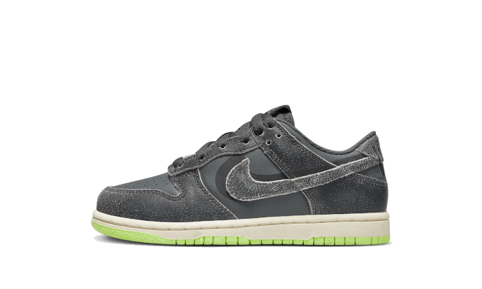 Nike Dunk Low Swoosh Shadow Iron Grey Enfant (PS) - DQ6216-001