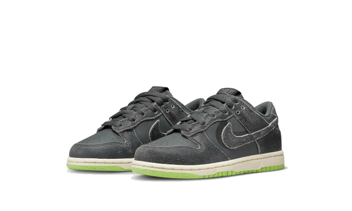 Nike Dunk Low Swoosh Shadow Iron Grey Enfant (PS) - DQ6216-001