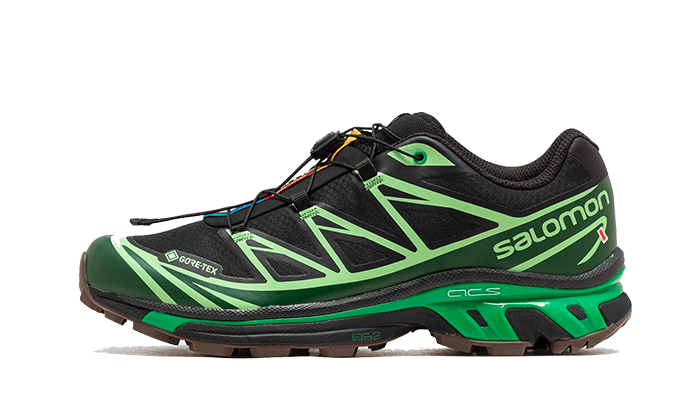 Salomon Advanced XT-6 Gore-Tex Eden Green Ash - L47292100